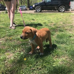 Meet your Posher, Arwynn